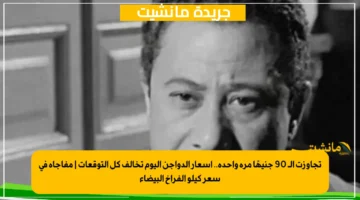 تجاوزت الـ 90 جنيهًا مرة واحدة.. أسعار الدواجن اليوم تخالف كل التوقعات مفاجأة في سعر كيلو الفراخ البيضاء 1